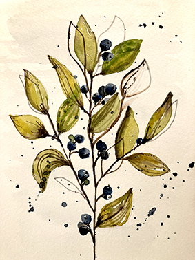 Zweig mit blauen Beeren Zweig mit grünen Blättern und blauen Beeren